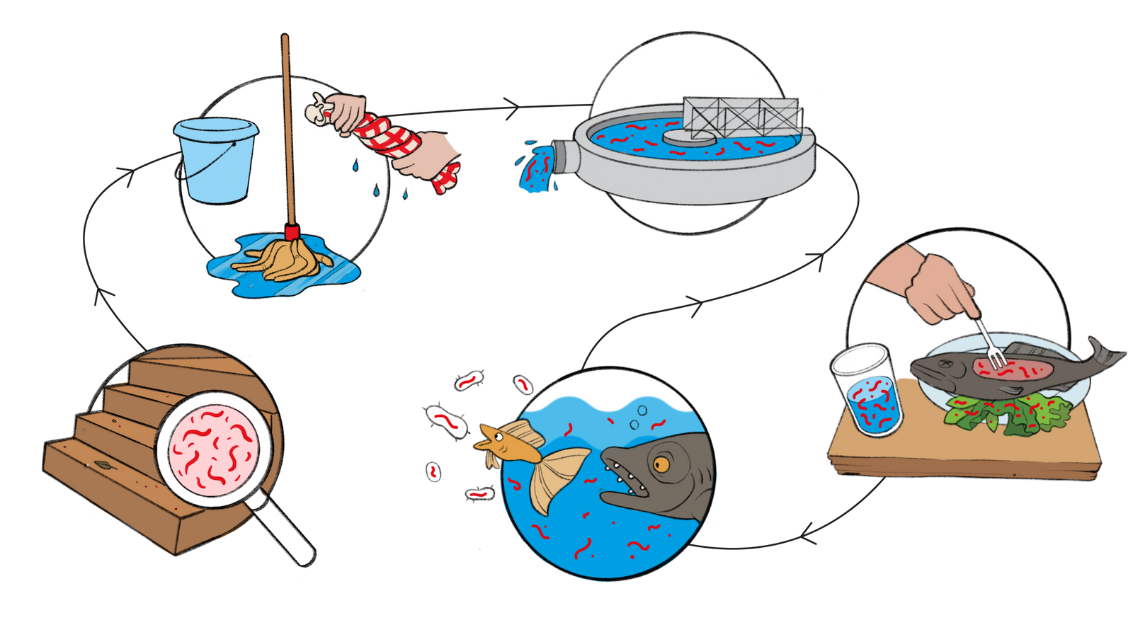 Bild zeigt, wie Mikroplastik über den Hausstaub und durch Kläranlagen in Gewässer gelangt und schließlich wieder auf unserem Teller und in unserem Körper
