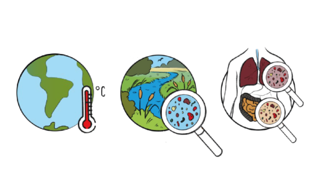 microplastics climate nature health graphic